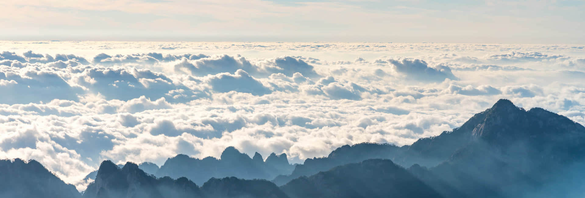 安博线上官网(集团)官方网站简介